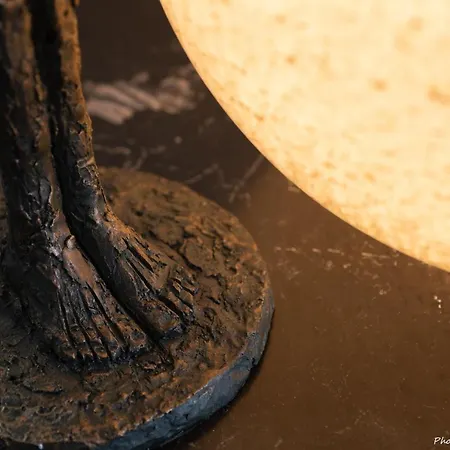 Superbe T3 De 70m2 Face à La * Royan